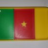 Drapeau du Cameroun.