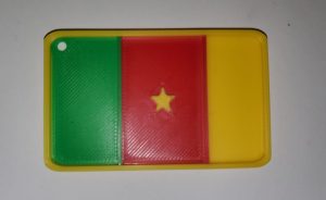 Drapeau du Cameroun.