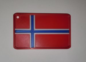 20251130_164839 Drapeau de la Norvège.