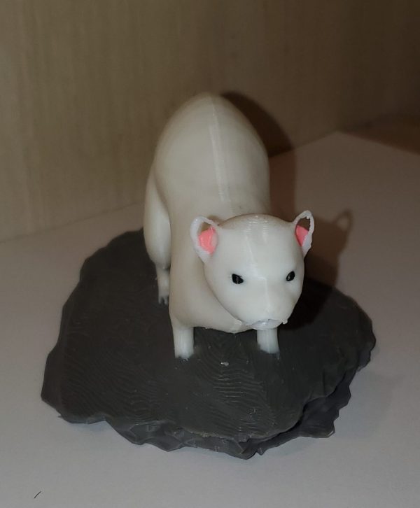 20251211_142035 Gamme "BZH" hermine sur rocher.