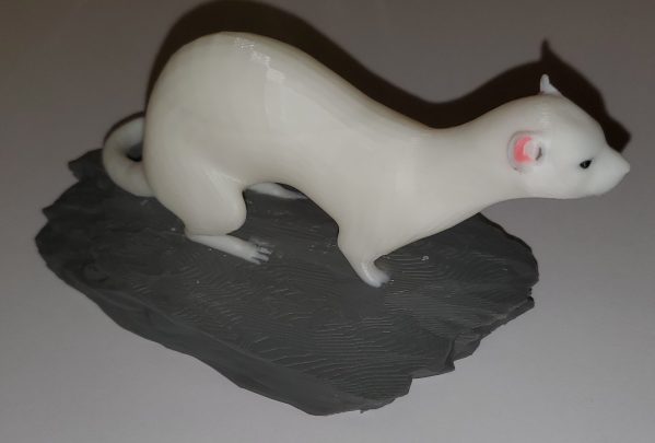 20251211_142046 Gamme "BZH" hermine sur rocher.