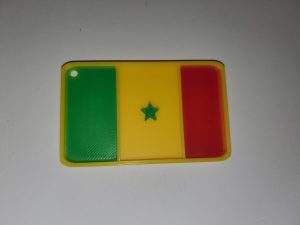 20251211_153306 Drapeau du Sénégal.