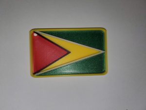 Drapeau de la Guyana.